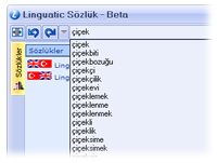 Linguatic Sözlük v1.3 b1.57 Türkçe